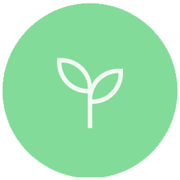 ico3